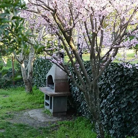 El Pilar Holiday home