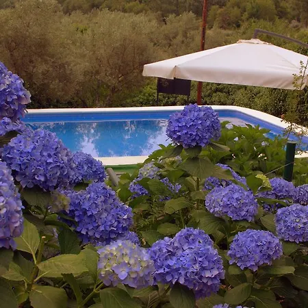 Holiday home El Pilar